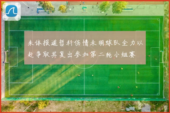 米体报道哲科伤情未明球队全力以赴争取其复出参加第二轮小组赛