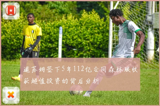 道苏姆签下5年112亿合同森林狼收获超值投资的背后分析